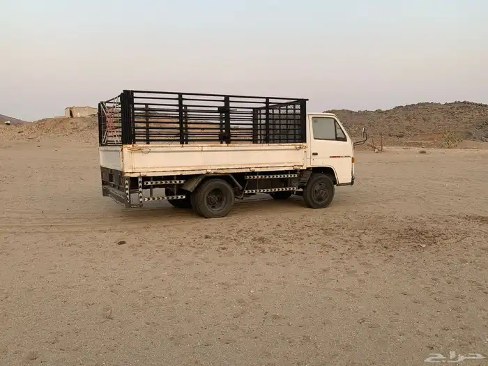 دينا شبك مديل 1994 1