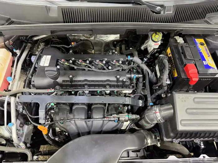 شيري اريزو5 2024 34