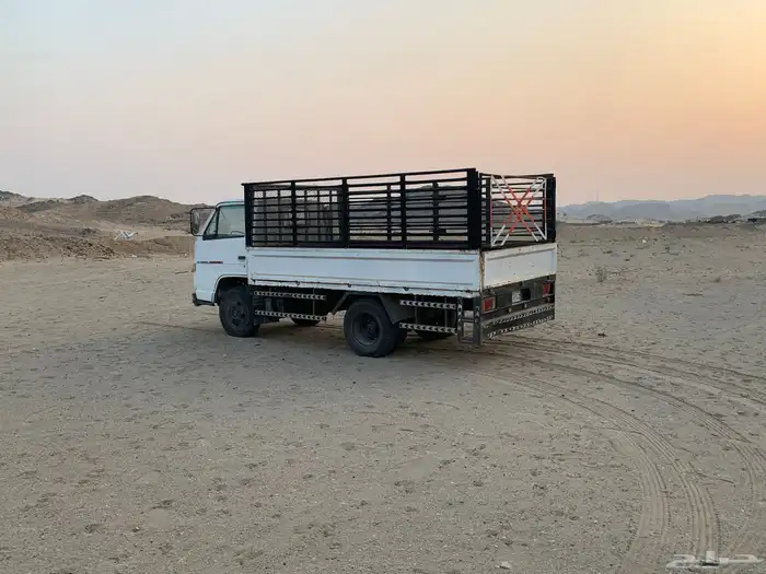 دينا شبك مديل 1994 6