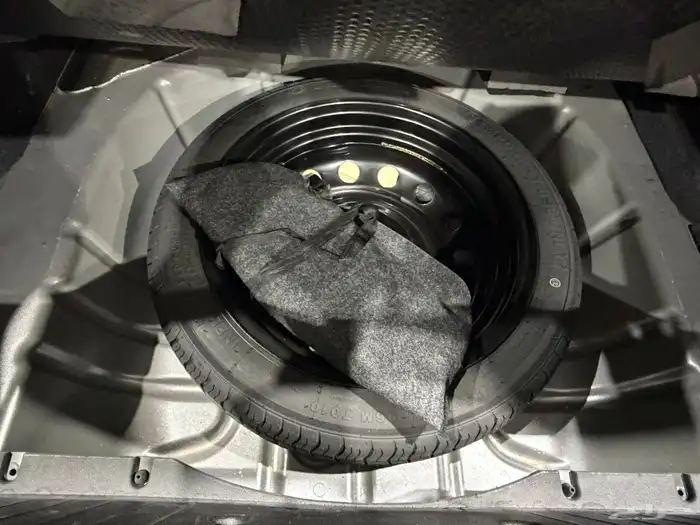 شيري اريزو5 2024 22