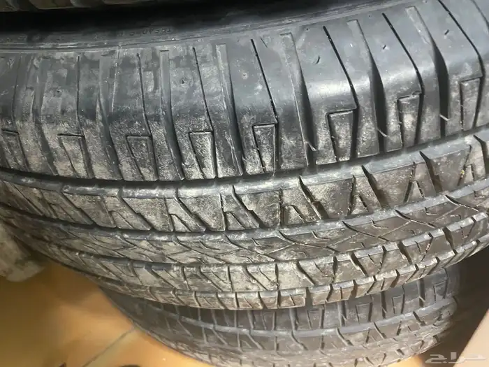 جنوط جيب لند 5