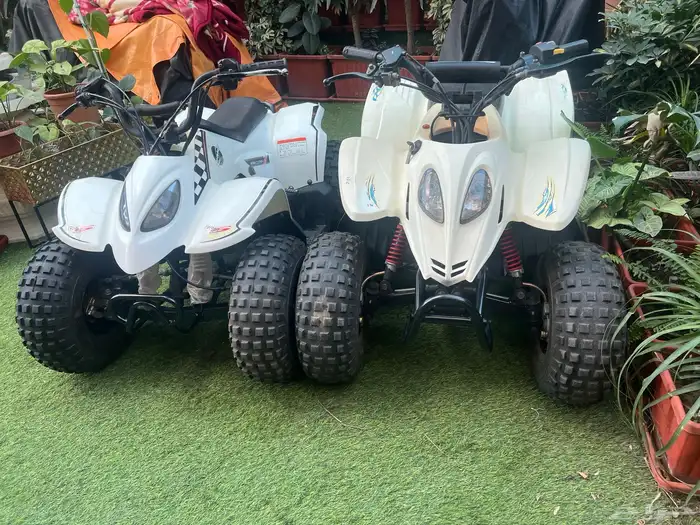 دباب تايواني مقاس 80 4