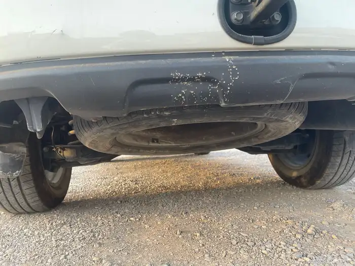 بلاتنيوم 2012 1