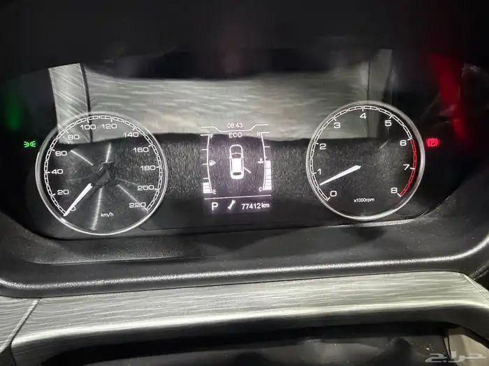 شيري اريزو5 2024 28