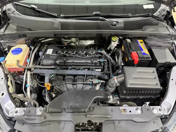 شيري اريزو5 2024 33