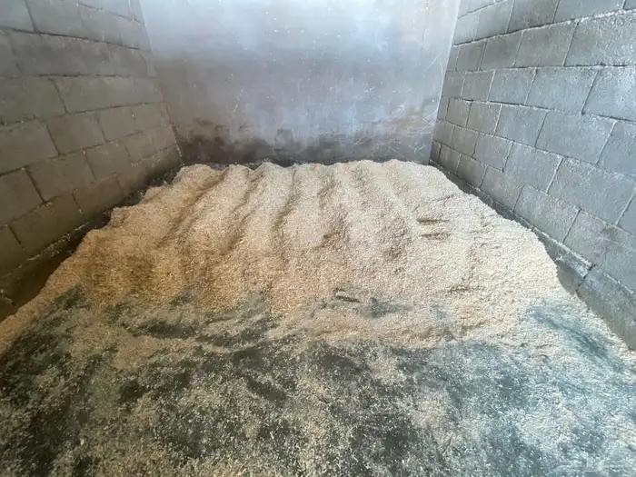 مربط اوس الحجاز للخيل العربية الاصيلة 1