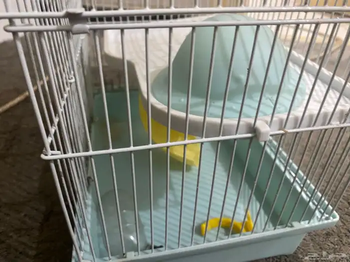 قفص هامستر للبيع 3