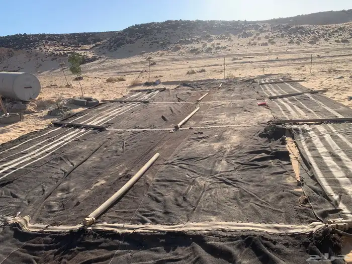 بيت شعر - مقورن - 2