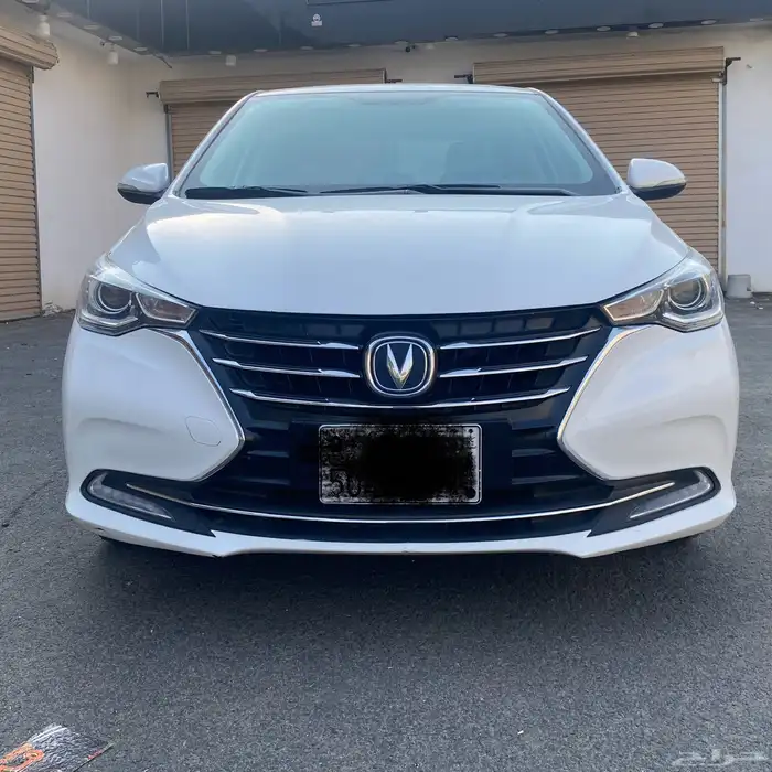 شانجان السفن 2023 3