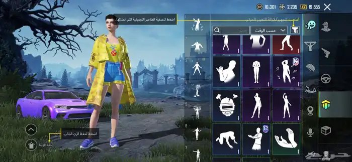 حساب ببجي . 43