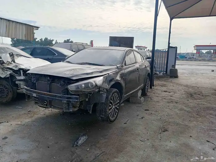 تشليح كادينزا 2015 1