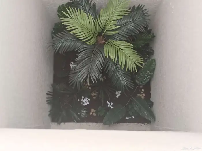 تنسيق حدائق 3