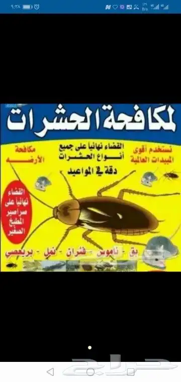 أدوات رش مبيدات رش حشرات مكافحة الصراصير والبق الوزغ المدينة 1