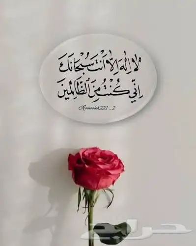 اريد شقه إيجار غرفتين او غرفه في أبحر حي الصواري قريبة من و 0