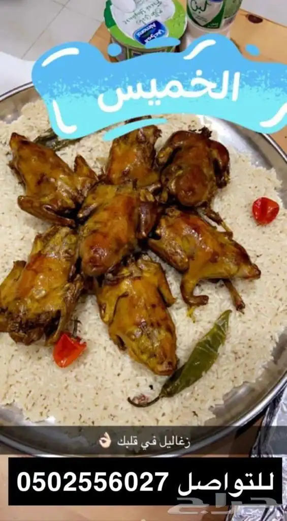 زغاليل وفروخ حمام فرنسي 9