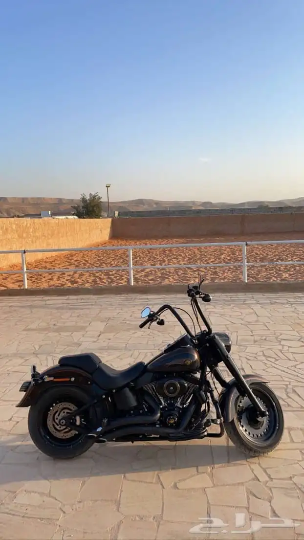 النوع هارلى فات بوي Fat boy 1