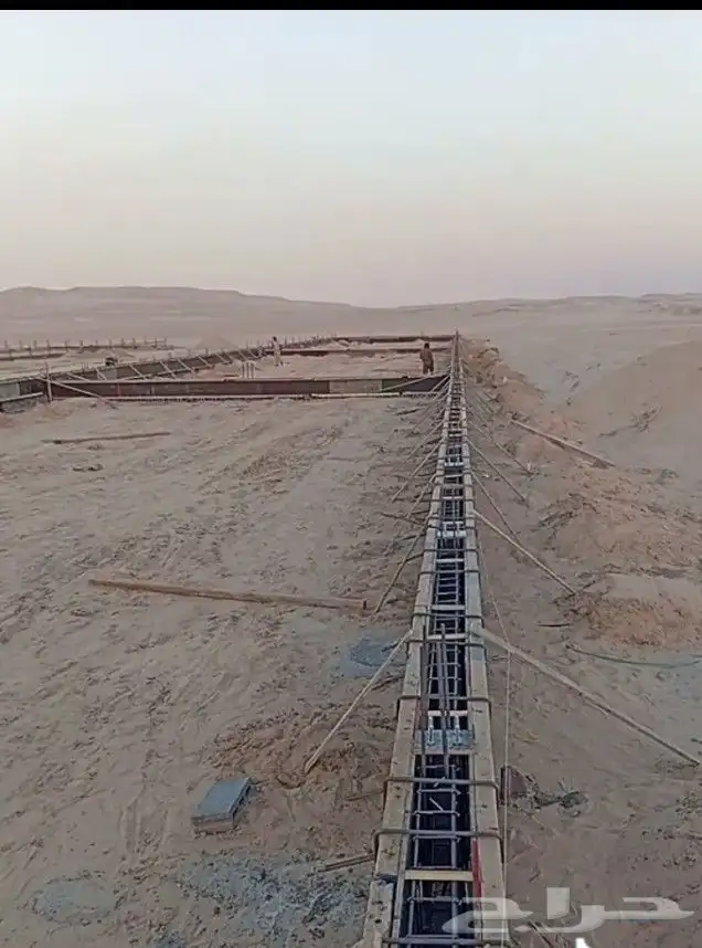 دواجن دجاج 2