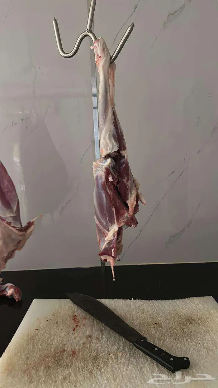 خرفان حري و سواكني ثلاجه - طبخ مندي كابلي 850 الى 1300 6