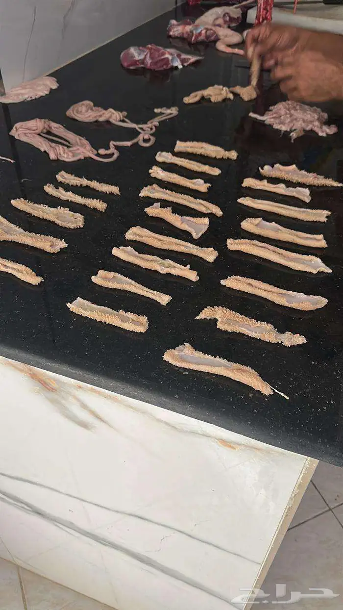 خرفان حري و سواكني ثلاجه - طبخ مندي كابلي 850 الى 1300 5