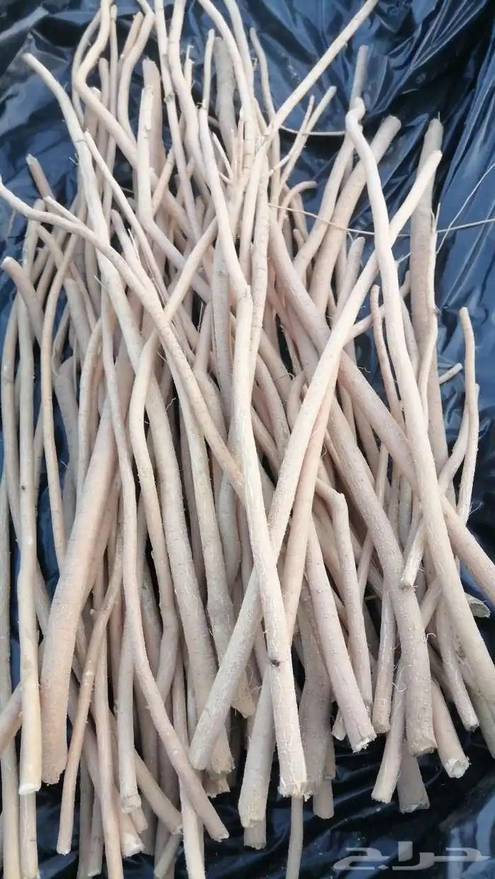 مسواك نضيف 1