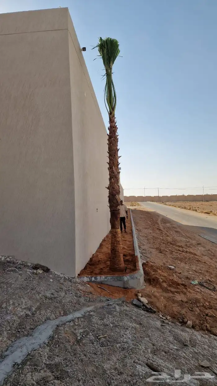 نحل وشنطني جميع المقاسات وتنسيق الحدايق وقص الشجار وتكريب ان 0