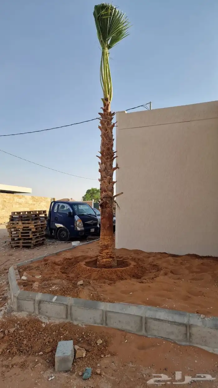 نحل وشنطني جميع المقاسات وتنسيق الحدايق وقص الشجار وتكريب ان 2