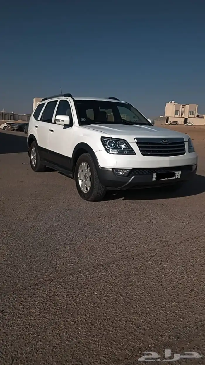 موهافي 2014 على الشرط 8