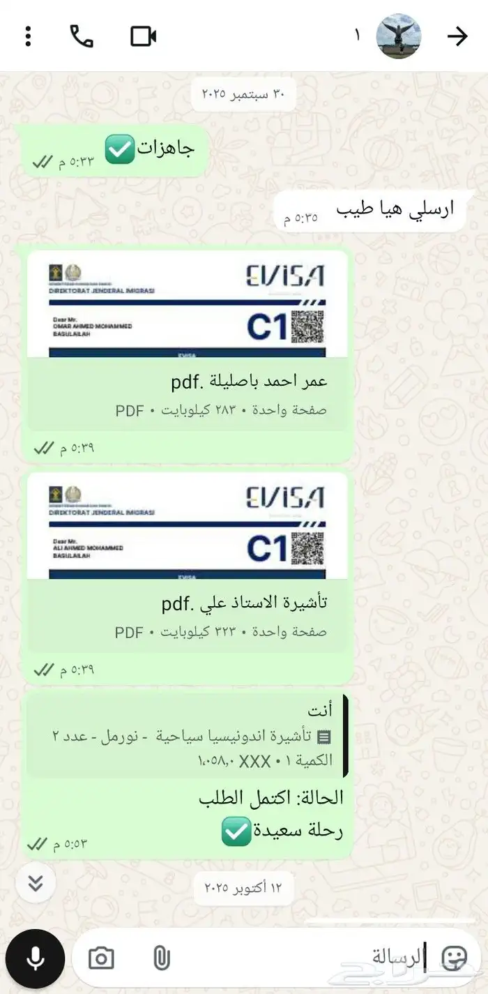 فيزا اندونيسيا سياحية للجميع 3