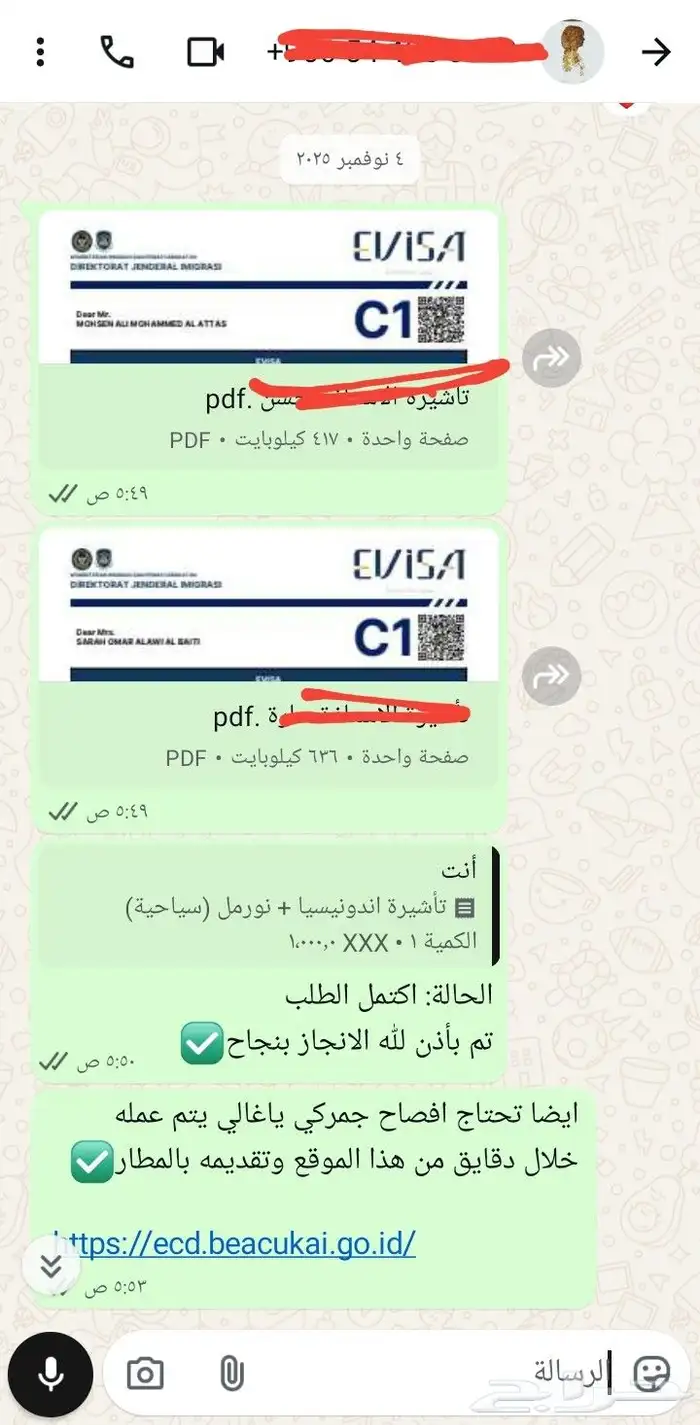 تأشيرة اندونيسيا سياحية رخيصة 5