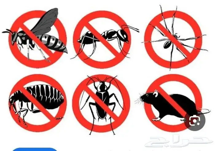 أدوات رش مبيدات ومكافحة اصراصير ونمل و البق بالمدينة 0