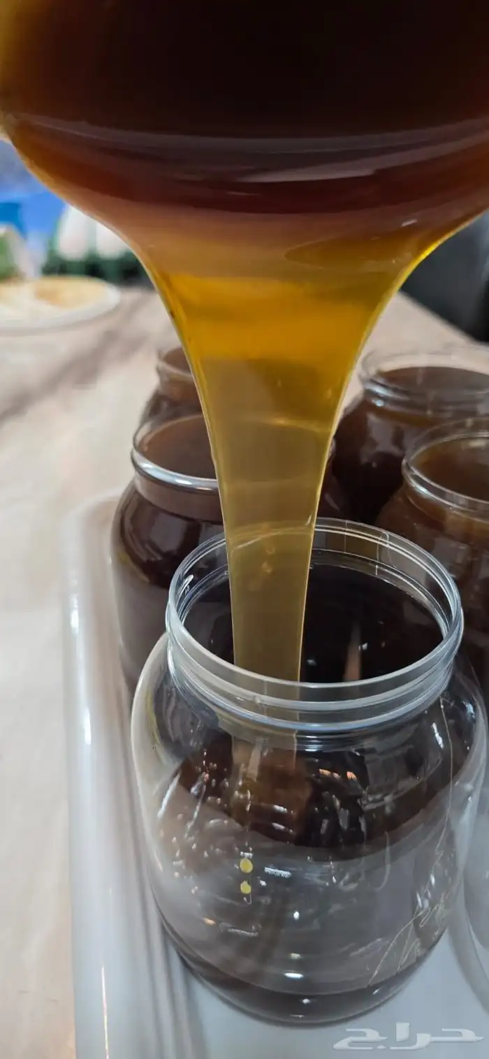 عسل سدر طيب ونضيف وبالامانه الموقع بلجرشي او نمره 0