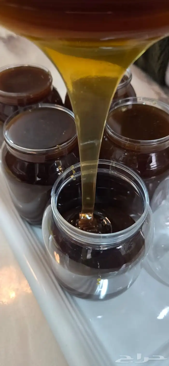 عسل سدر طيب ونضيف وبالامانه الموقع بلجرشي او نمره 1