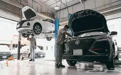 صيني شانجان 0