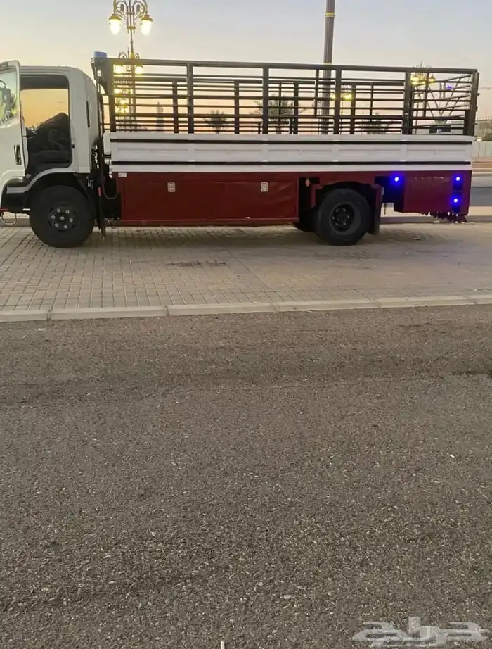 دينه ديانه ضباء 0