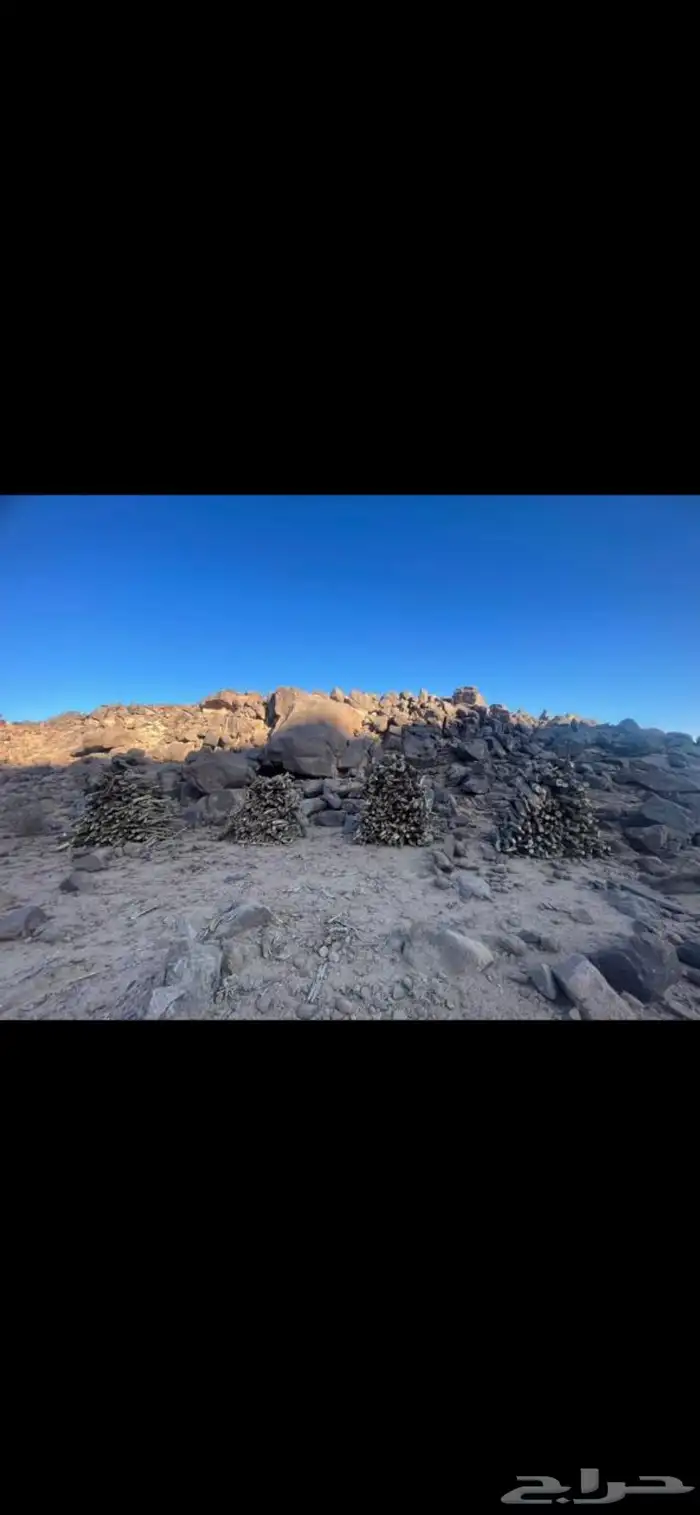 للبيع حطب الموقع يدمه 0