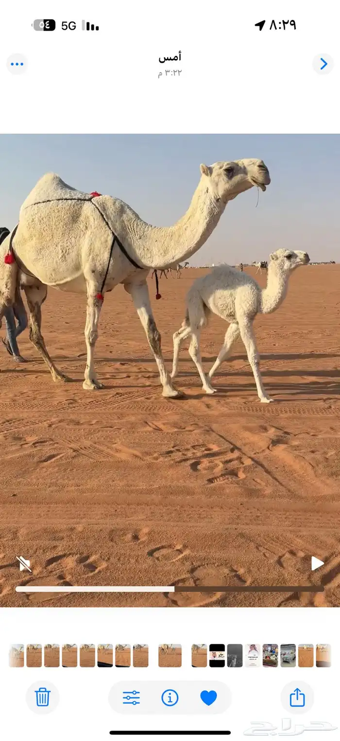 للبيع خلفه وضحا 0