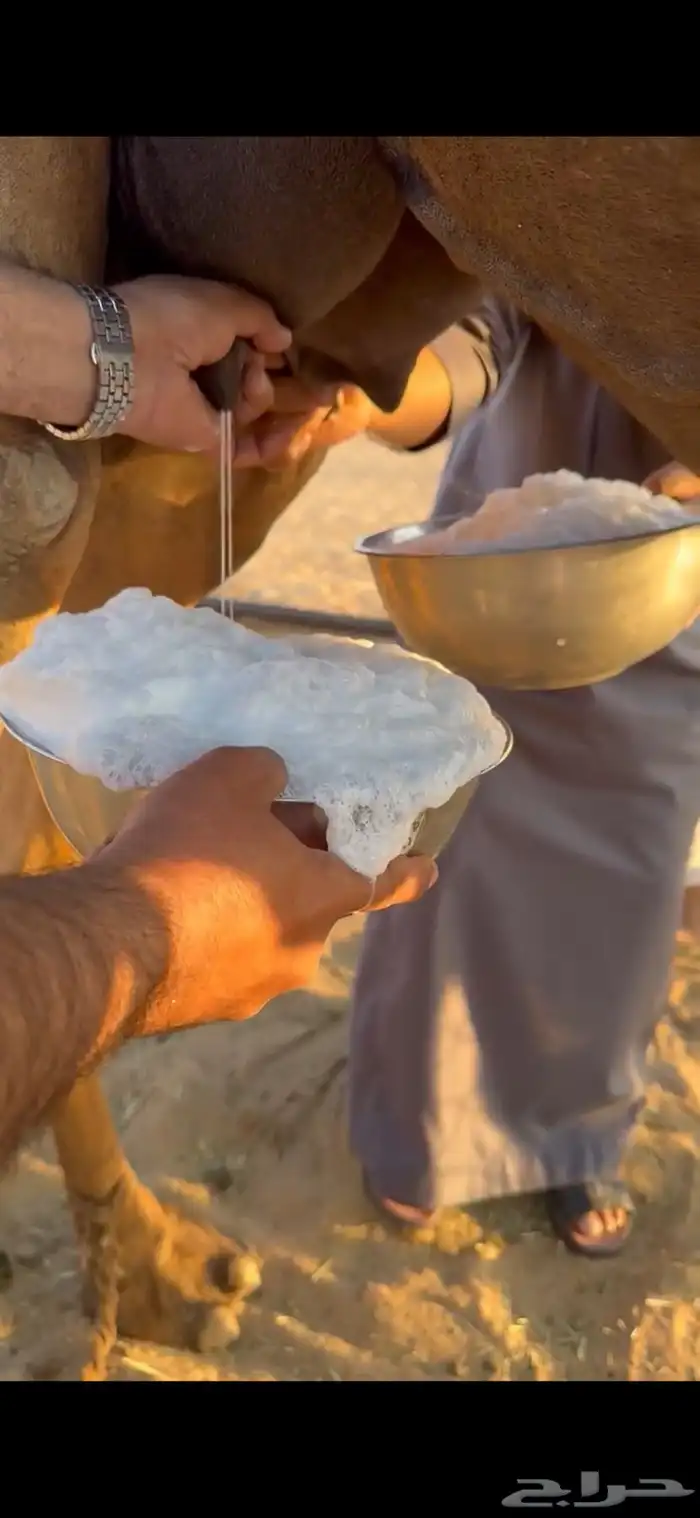 خلفه ام ثاني هديه 3