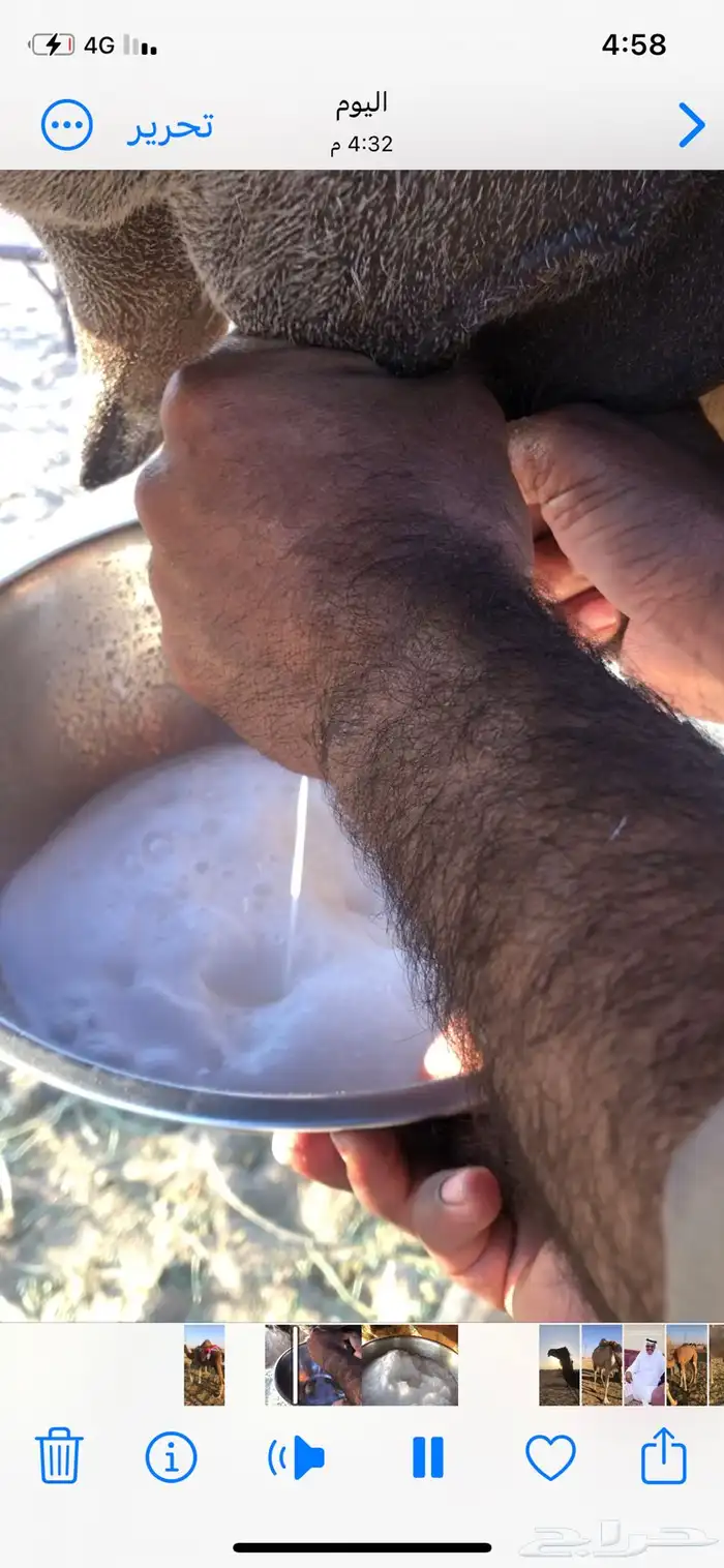 خلفة حمراء مجاهيم 2