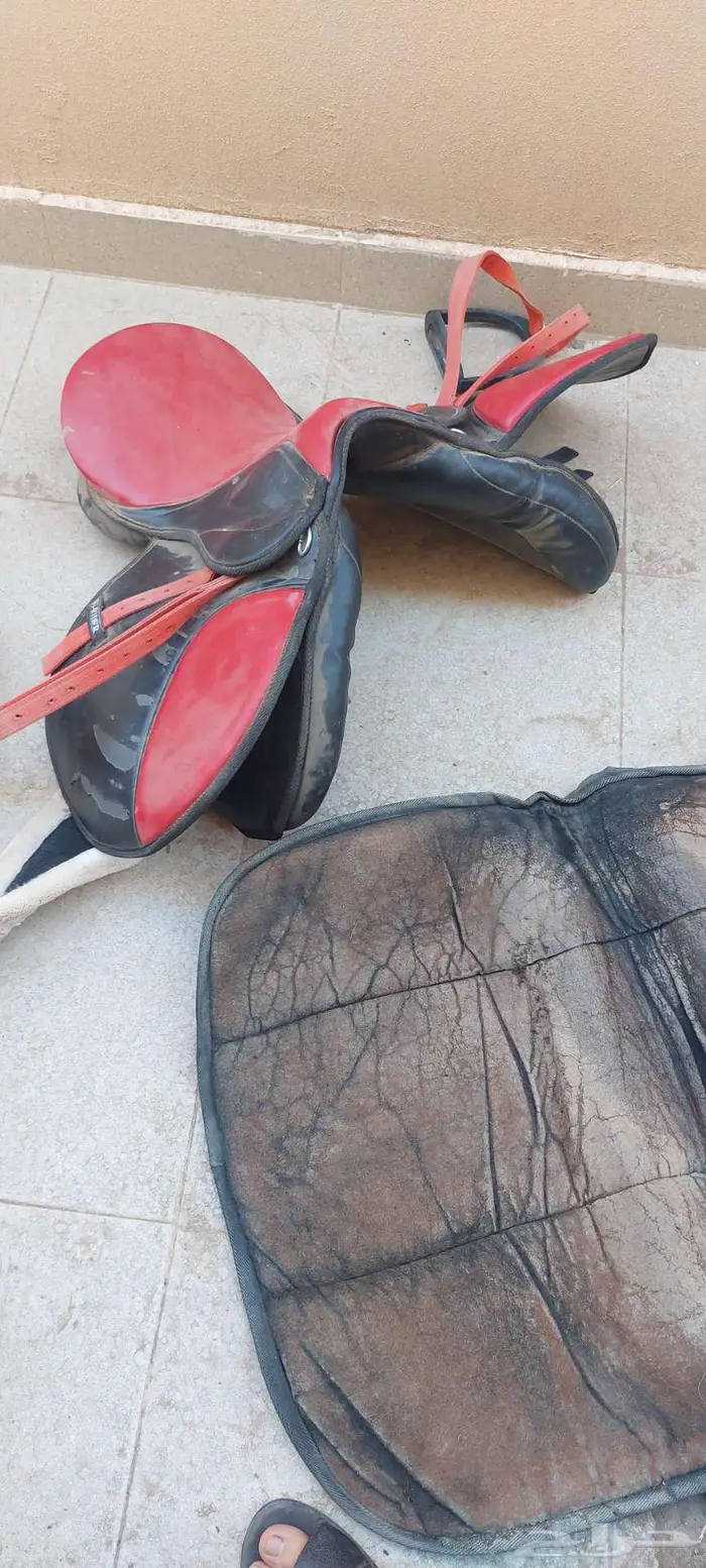 سرج مستعمل للبيع 1