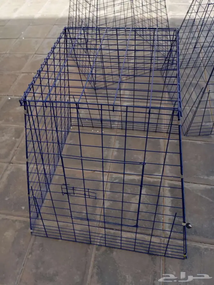 المدينه المنوره 0