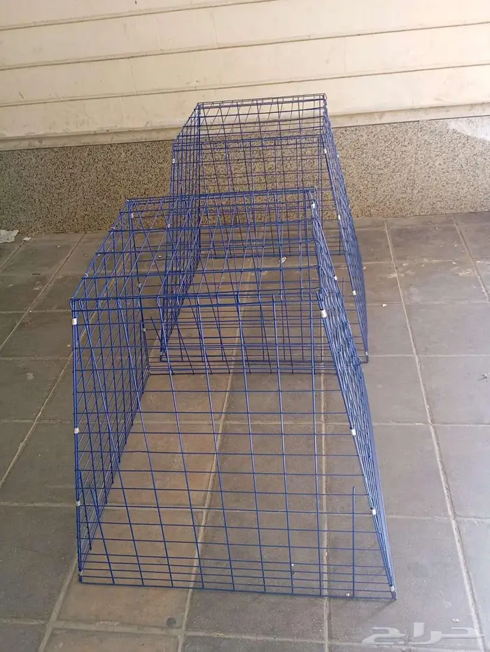 المدينه المنوره 1