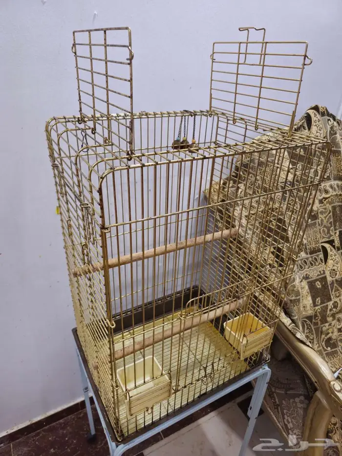 قفص ذهبي كبير للطيور 1