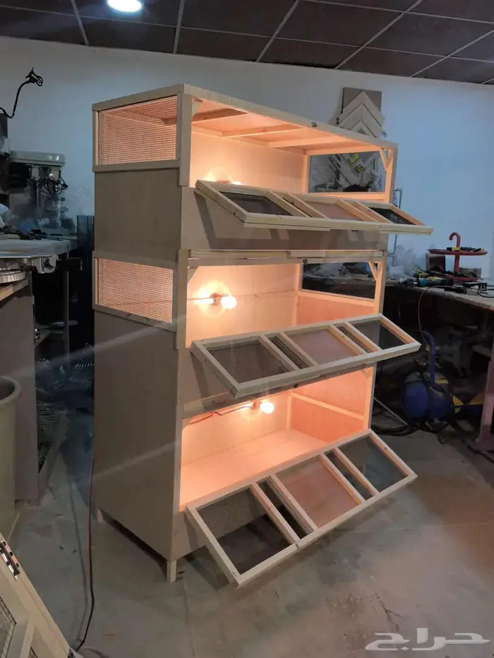 حظانة صوص إنتاج دواجن 3