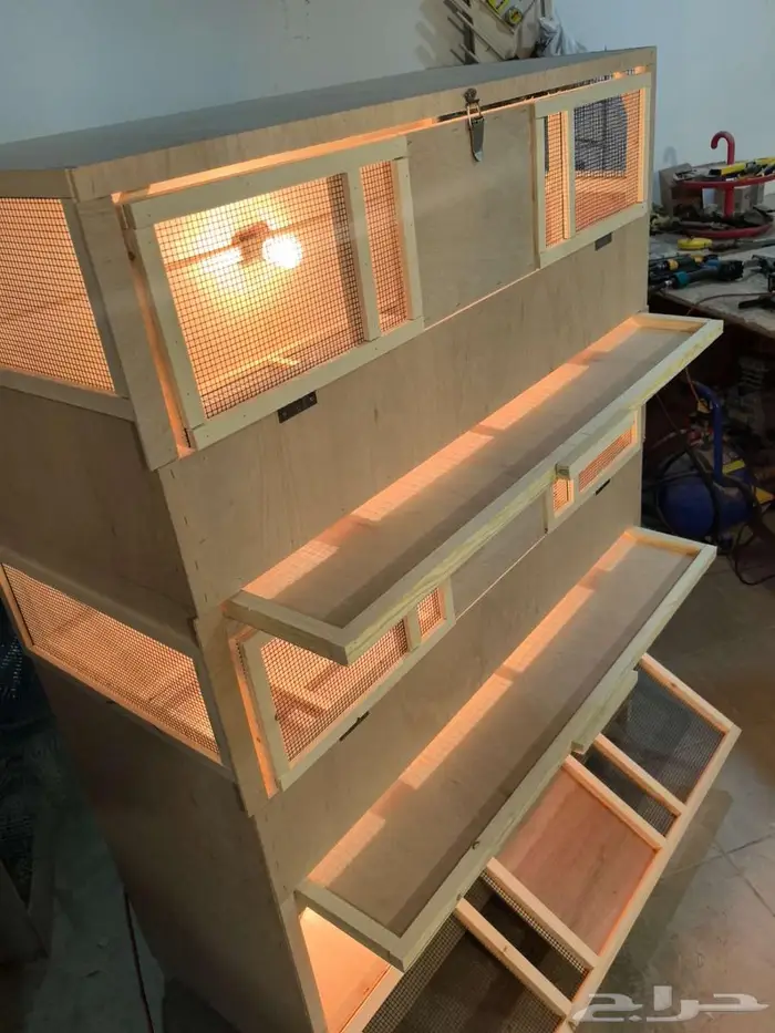 حظانة صوص إنتاج دواجن 5