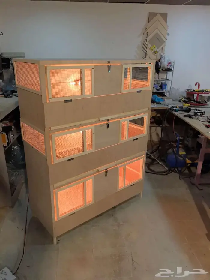 حظانة صوص إنتاج دواجن 1