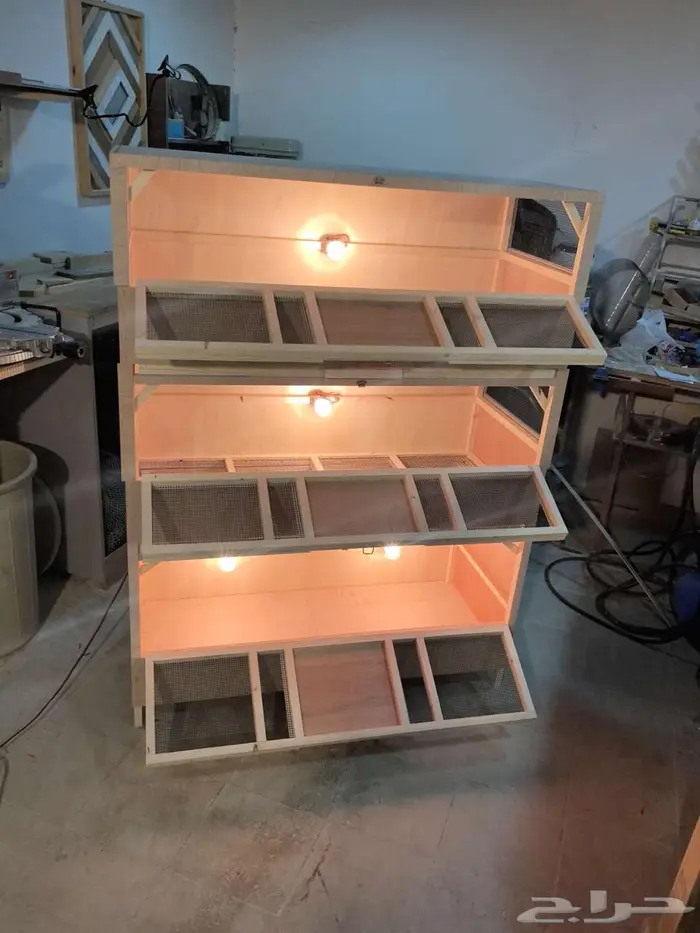 حظانة صوص إنتاج دواجن 2