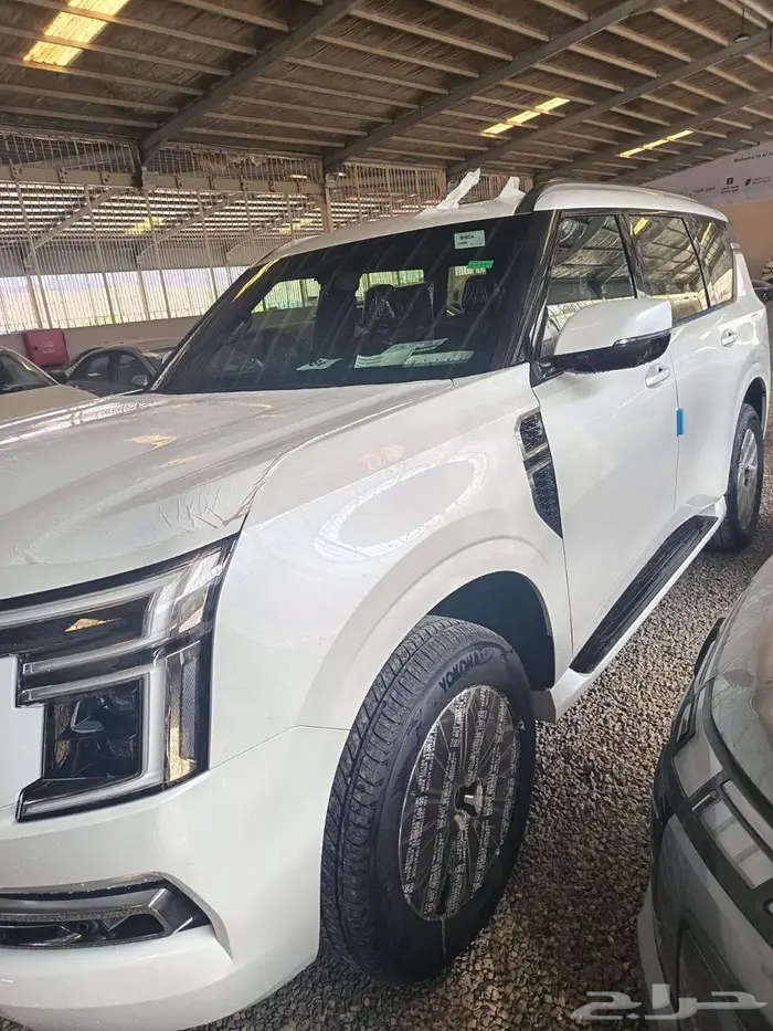 نيسان باترول بلاتنيوم تنفس طبيعى 2026 6