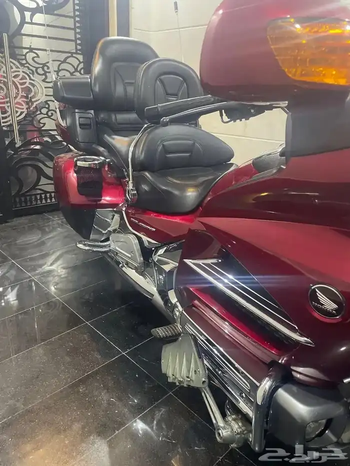 قولد وينق 2013 1