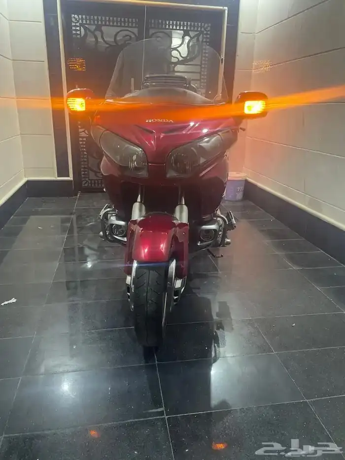 قولد وينق 2013 5