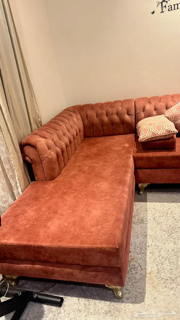 كنبات مجالس 1